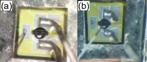 永信贵宾会-欢迎您
