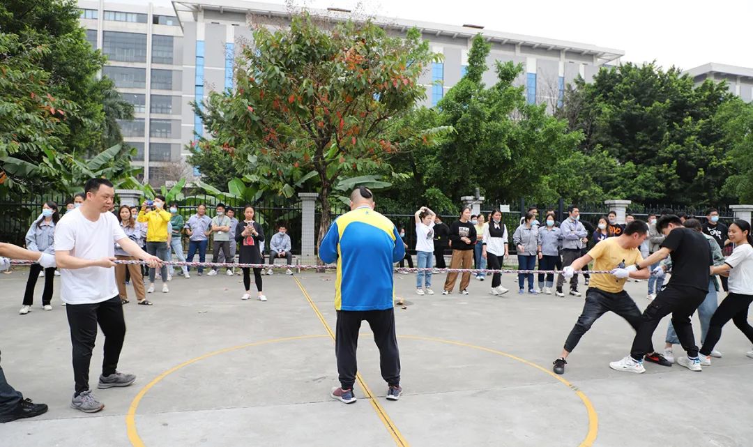 图片 16816945455772390.jpg